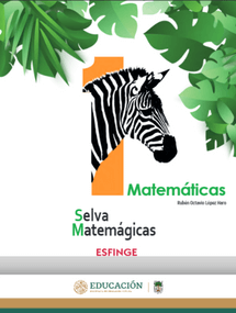 Libro de Matemáticas de primer grado de secundaria 12 matematicas 1 editorial esfinge