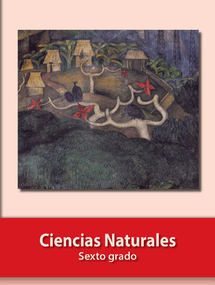 libro de ciencias naturales sexto grado de primaria descargar en pdf