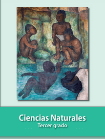 Libro de Desafíos matemáticos de tercer grado de primaria 8 libro de ciencias naturales tercer grado de primaria descargar en pdf